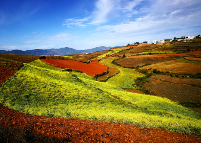 如何使用土壤酸堿度測量儀？