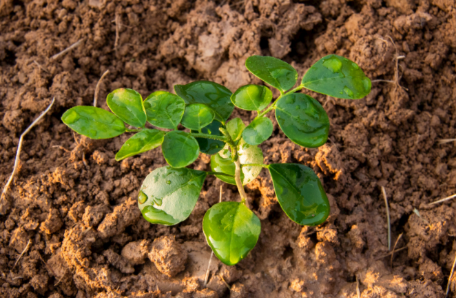 1681890455140823.png 土壤水分檢測(cè)儀獲取水分信息