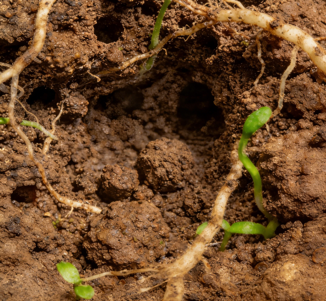 土壤氧化還原電位儀